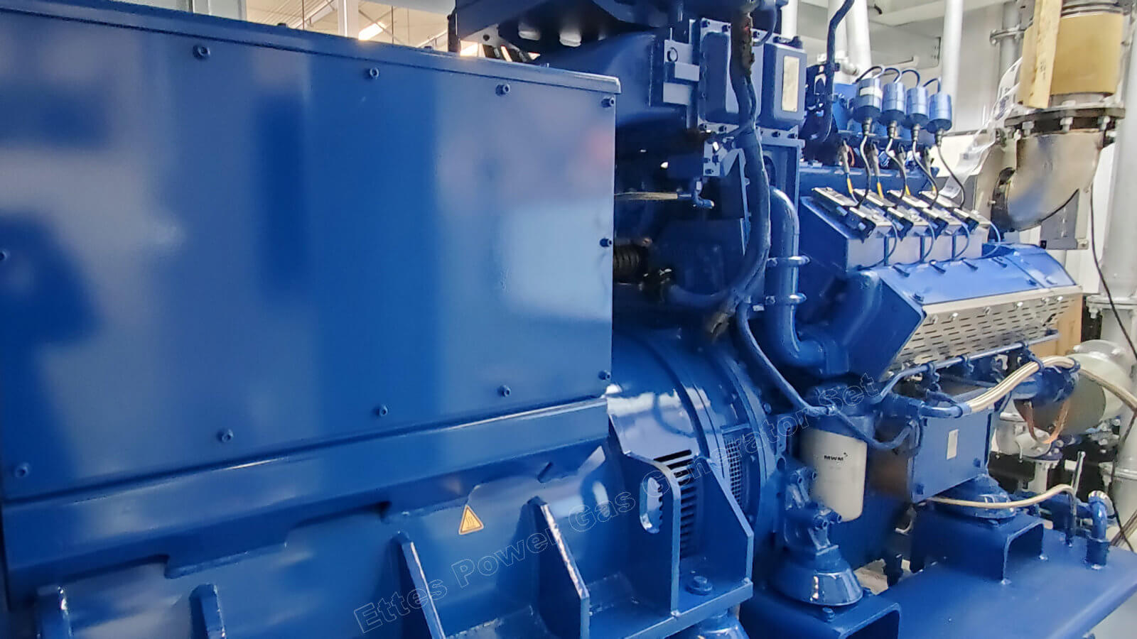Leroy Somer Alternator for MWM Series Digester Biogas Engine Generator ETTES POWER