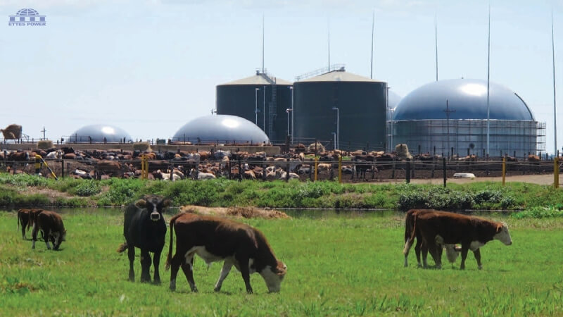 MWM 800kW 1000kW 1MW Cattle farm manure biogas generator & CHP power plant ETTES POWER