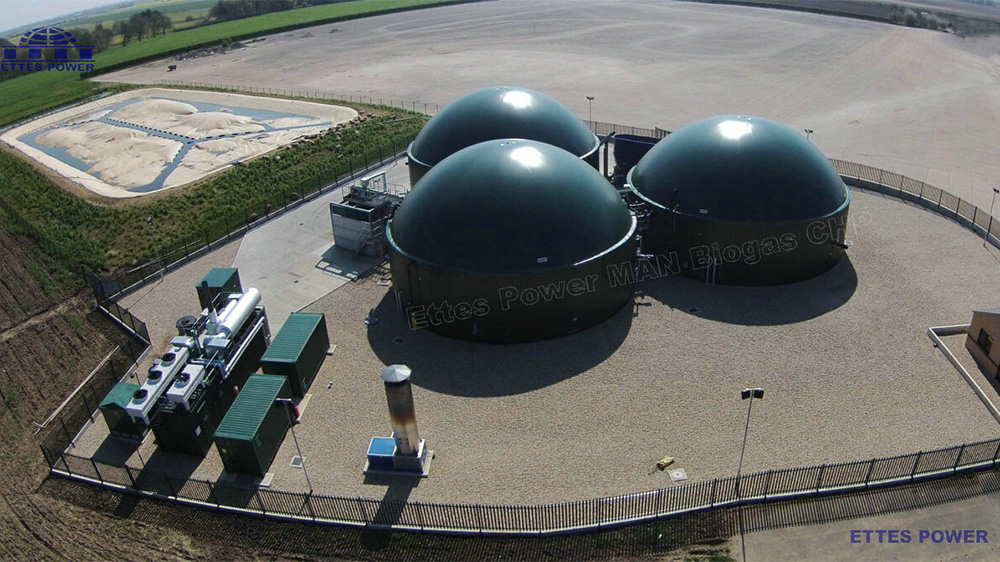 2MW Farm Gas Digester Biogas Generator set CHP Cogeneration Power Plant ETTES POWER