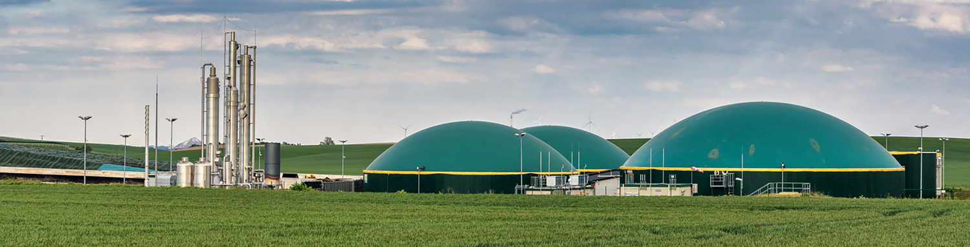 Farm livestock biogas generating cogeneration project 2mw 3mw 800kw 600kw EttesPower