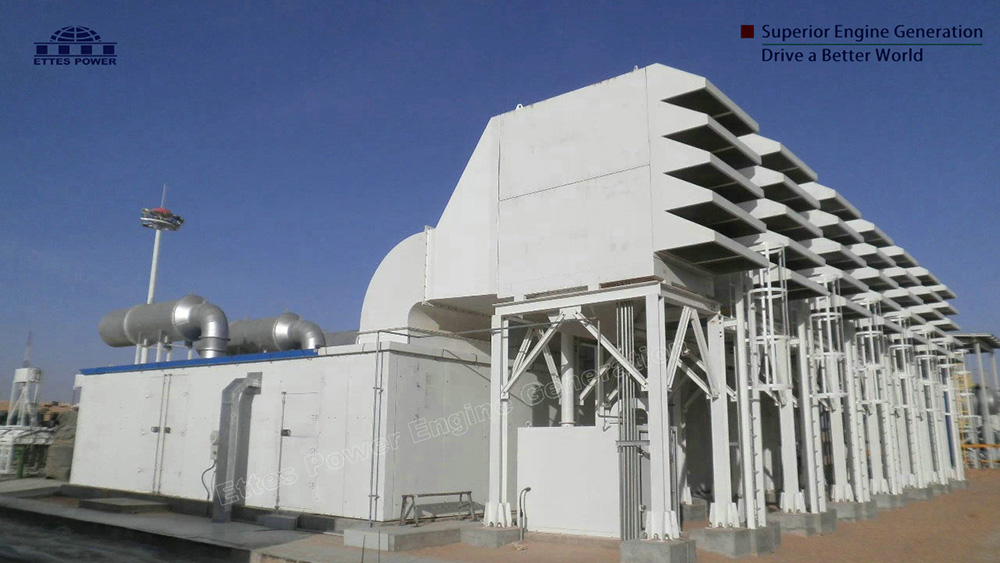 West Africa Desert 6MW Oilfield Gas Power Plant-ETTES POWER