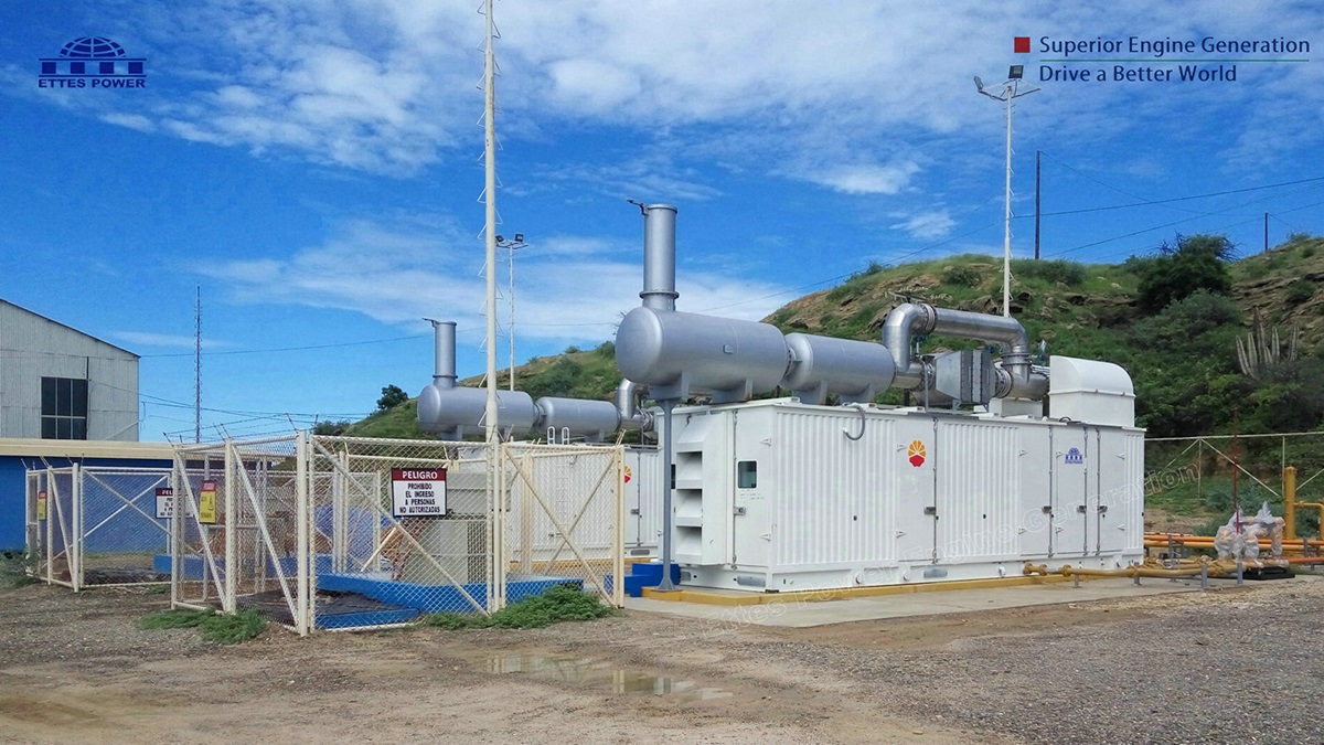 Latin America-Modular-Containerized-Gas Engine Generator-Ettes Power