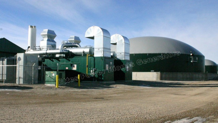 Ettes Power 1MW 2MW CAT MAN MWM Biogas Digester Gas Power Plant CCHP Ettespower Group