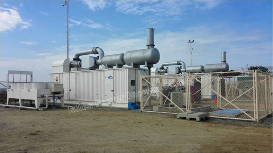Ettes Power CNPC Oilfield Containerized Natural Gas Engine Generator-Power Plant Ettespower