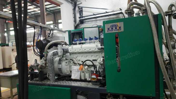Ettespower 100kW 200kw 250kW MAN Natural-Gas Biogas Engine Generator CHP Ettes Power