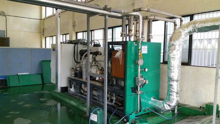 Ettes Power 500kW MAN Natural Gas Biogas Engine CHP Cogeneration EttesPower