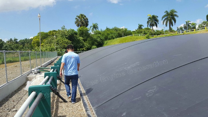 Ettes Power Commissioning of 500kW Digester Biogas Generators in Dominica Republic Ettespower