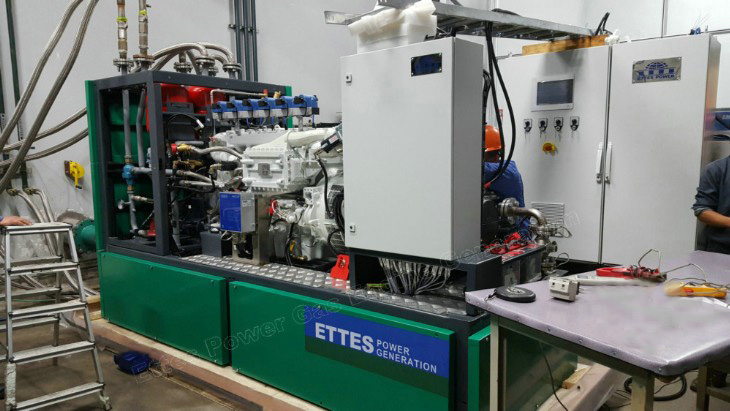 Ettespower 200kW 300kW MAN Natural Gas Biogas Power Generation CHP EttesPower