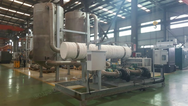 Ettes Power Biogas Engine CHP Intelligent Pretreatment Desulfurization Dewatering-Ettes Power