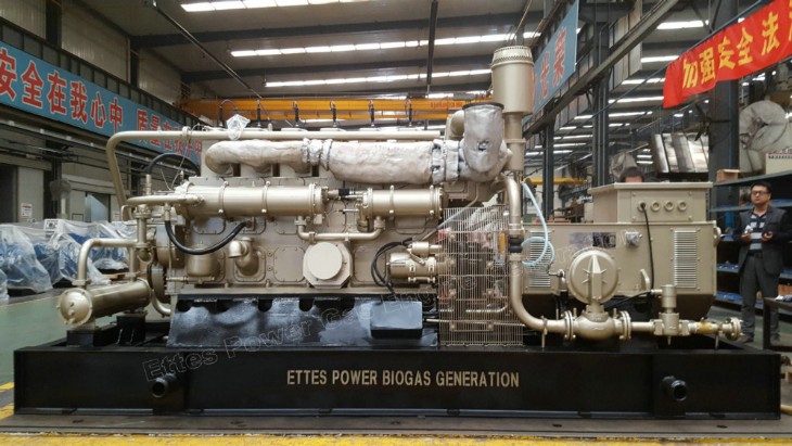 Ettes Power Group 300kW 500kW 1MW Natural Gas Biogas Engine Generator CHP Ettespower